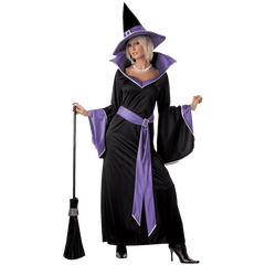 California Costumes Women's Incantasia, The Glamour Witch