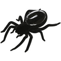 Creative Motion Solar Spider