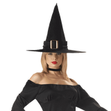 California Costumes Women's Elegant Witch Costume